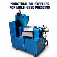 Extracteur d'huile efficace 6YL100A pour graines de moutarde, colza, tournesol, soja, arachide, sésame, noix de coco, copra, moteur 11 kW