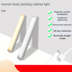 High Quality <strong>LED</strong> Strip Plastic Cabinet Induction Light Magnetic USB Charging Wireless Motion <strong>Sensor</strong> for Kitchen Wardrobe <strong>Use</strong> - Product Image 3
