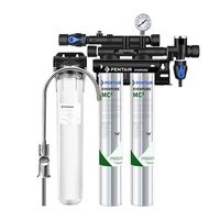 Aihuipu (Everpure) US MC2 Double purificateur d'eau commercial pour la filtration directe du lait, du thé et des cafés pour la voiture