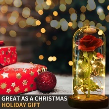 Romántico regalo del Día de San Valentín hecho a mano personalizado conservado Rosa Luz LED cúpula de cristal transparente campana tarro Base ambiente elegante - Product Image 5