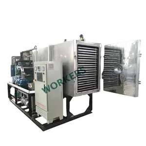 Batch Industrial Freeze Dryer Machine Lyophilizer Vacuum Food Freeze Dryer For Freeze Food traditional Chinese herb