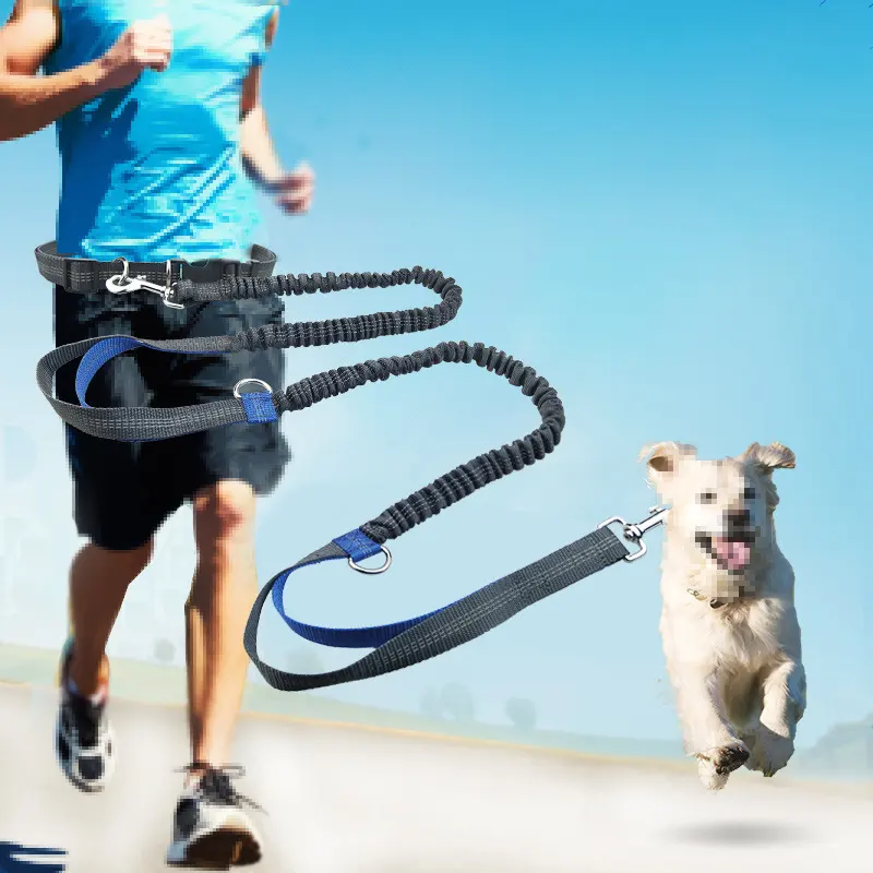 Double D-ring Adjusting Buckle Elastic Dog Leash Traction Rope Safety Belt Pet Dog Leash