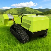 Tondeuse à gazon robotisée de type fléau télécommandée, 800 mm de large, tout-terrain, machine de débroussaillage et de tonte agricole et forestière