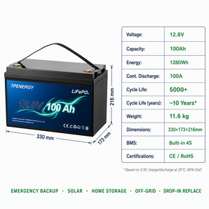 Batterie TPENERGY 12V 100Ah LiFePO4 pour stockage solaire domestique, remplacement de la batterie au plomb, autonomie de 10 ans - Product Image 6