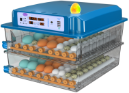 Jt màu xanh 36-Trứng lồng ấp cho gà vịt ngỗng chim cút nở - Product Image 4