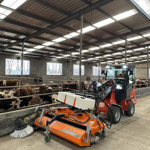 Nhà sản xuất everun tùy chỉnh radlader nhỏ gọn <span class=keywords><strong>loader</strong></span> với kết thúc trước <span class=keywords><strong>loader</strong></span> và nhỏ nhỏ Bánh Xe Tải để bán - Product Image 6