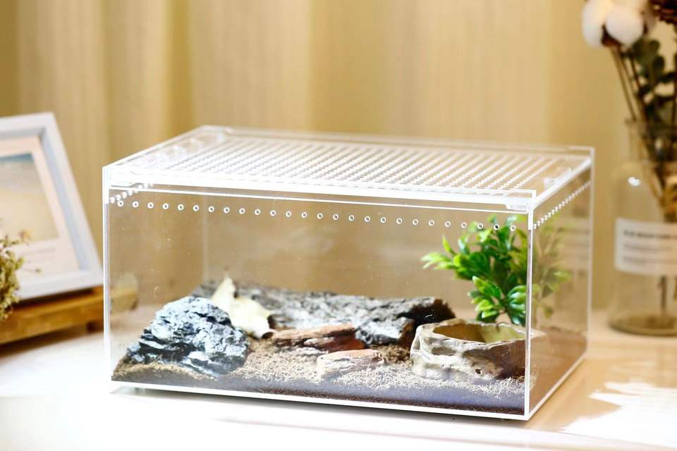 Custom PVC Reptile Display Cases Reptile Breeding Racks Acrylic Plastic ...