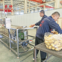 Ligne de production de nettoyage et de transformation du manioc, pommes de terre, carottes, radis et patates douces, laveuse, machine à laver