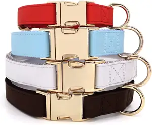 Leather Soft Comfy Elegant Nylon Collars for Dogs Small Medium Large 4 Bright Solid Color for Choosing Charming Nylon Dog Collar