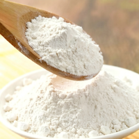 Extrait de Zeste de Pamplemousse en Poudre de Qualité Alimentaire, Sans Solvant, Extraits par Extraction à l'Eau, Complément Alimentaire en Capsules