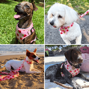 Aksesori Kustom bermotif Set harnes anjing peliharaan terbalik produsen Label pribadi harnes dan tali kucing Perro - Product Image 5