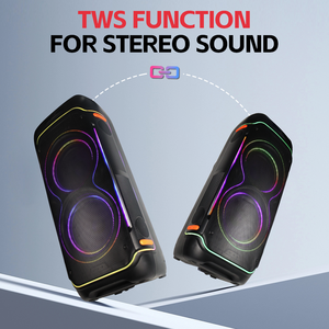 OEM/ODM Altavoz de 10 Pulgadas, Caja de Sonido Grande para Fiestas al Aire Libre, DJ, RGB, Inalámbrico, Modo Dual, 2 Micrófonos, Microlab PT1000Pro - Product Image 5