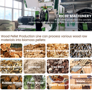 Ligne de production de granulés de bois RICHI 10t 15t 5t 2t par heure - Ligne de production de granulés de bois à haute efficacité, clé en main - Product Image 3