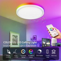 Moderne Maison Décor Tuya App WIFI Dimmable Plafonnier Surface Ronde Monté Plafond Intelligente Lumière