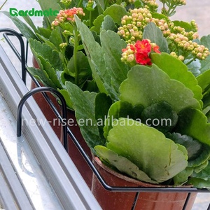 Ban Công Hộp Chủ Treo Hoa Chủ Cho Vườn Patio Hàng Rào gờ Hiên Hiên Ban Công Trong Nhà Ngoài Trời Trồng Treo Giỏ - Product Image 3