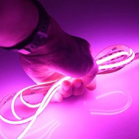 Meistverkaufte LED-Streifenbeleuchtung Bluetooth APP 12V 5050 COB USB Smart Streifenbeleuchtung TV-Hintergrundbeleuchtung Rosa Farbige LED-Streifen für Zuhause