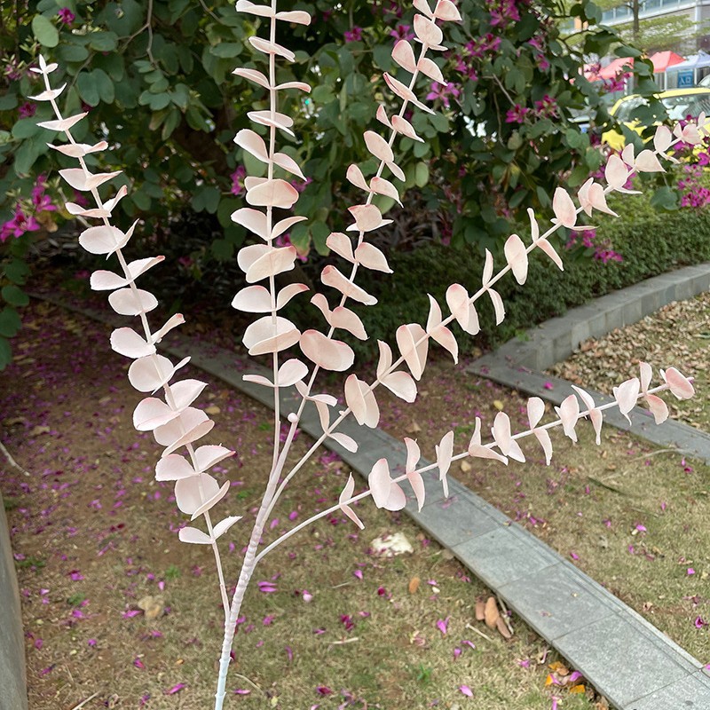 5 forchette eucalipto rosa