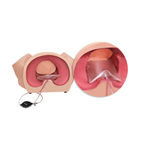 Mannequin de formation avancé DARHMMY en sciences médicales pour la dystocie - Matériau PVC simulant un accouchement anormal, sténose pelvienne gonflable