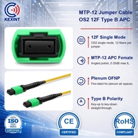 Câble de raccordement MTP MPO 12 fibres OS2 monomode APC Type B Plenum