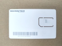 Tarjeta SIM 4G IoT Mundial Solo para Rastreador GPS y Dispositivo de Seguimiento GPS
