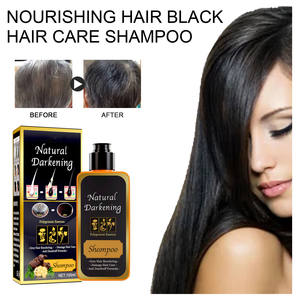 Champú de Alta Calidad para el Tratamiento de la Caída del Cabello, Cuidado Capilar con Jengibre, Crecimiento del Cabello, Champú Herbal Anti-Caída Shouwu para Cabello Dañado para Mujeres - Product Image 3