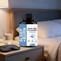 Capsules Brûle-Graisse pour Adultes Marque Blanche pour la Perte de Poids Nocturne et le Soutien du Sommeil, Stimulant Métabolique PM, 60 Gélules