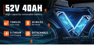52V40Ah Two Batteries Dual Motor Mtb Electric Bike Full Suspension Fat Tire E Bike Hydraulic Brake Ebike For Takeaway Delivery - Product Image 4