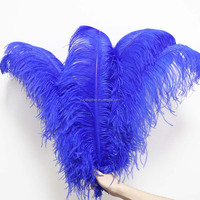 Plumes d'autruche en gros, 10-80 cm, en vrac, pour décorations d'Halloween, de Noël, du Jour des Morts, de Thanksgiving, fournitures de bricolage
