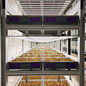 <b>Light</b>-proof Insulated Cultivation Container with Natural Airflow, Bolt-Assembled Growing Racks for Commercial Saffron Growing - Product Image 2