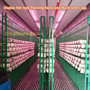 Sistema Hidropónico de Cultivo Vertical de Hongos HEZHOU, Invernadero Inteligente Automático de 40 Pies, Caja de Cultivo para Granja - Product Image 3