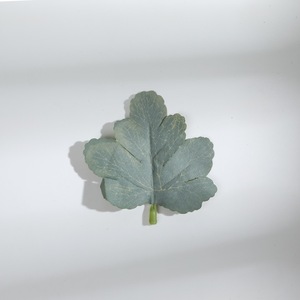 Künstliche PE-Farn-Aquapflanzen DIY Hochzeitsdekoration Ornamente mit Dekorativen Accessoires und Einsätzen <span class=keywords><strong>Yezi</strong></span> Made in China - Product Image 6