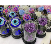 Cupule de la bella y la bestia flor en caja de la bella y la bestia la bella y la bestia l'éternité rouge roses dans le verre dôme