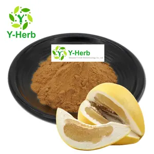 Grapefruit Extract Powder 10:1 / Citrus Paradisi Macf / Citrus Paradisi Seed Peel Extract