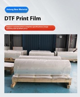 Film PET DTF 30cm 33cm 38cm 60cm, livraison rapide, décapage instantané, revêtement double face pour vêtements, transfert de chaleur pour imprimantes A4 DTF