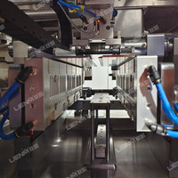 Solution d'injection IV automatique d'usine remplissant la machine de cachetage de dépôt liquide de joint de soufflage de machine de remplissage de BFS
