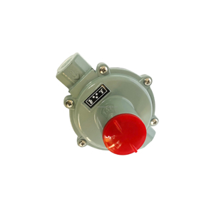 Regolatore di Pressione per Gas Naturale - Product Image 2