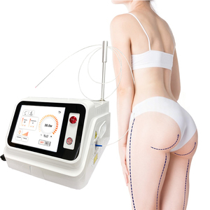 Láser Endolift Portátil de 980nm de Alta Potencia para Terapia Física, Eliminación de Hongos <span class=keywords><strong>en</strong></span> las Uñas y Arañas Vasculares - Product Image 3