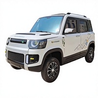 Vente flash Nouveau Véhicule électrique multifonctionnel pas cher à 4 roues 350*150*168cm 2000W Roues en aluminium pour les personnes âgées Famille Utilisation quotidienne
