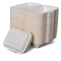 Boîte alimentaire moulée en fibre de bagasse de canne à sucre biodégradable, type clamshell, 8 et 9 pouces, fabriquée en Chine, vente en gros