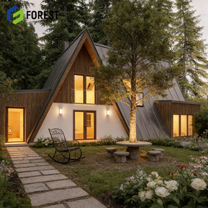 Villa Moderna de Lujo en Venta, Estructura de Acero Personalizada, Construcción de Acero Ligero 10x20, Prefabricada, Impermeable y con Protección Solar - Product Image 1