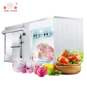 Chinese Manufacturer ice cream cold room cold room with blast freezer -40