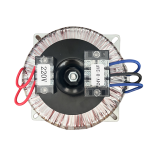 Biến áp hình xuyến biến áp điện 110V 220V 230V 240V 45V 24V 0 24V - Product Image 2