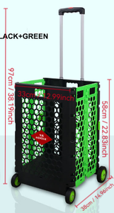 Cesta de Almacenamiento Plegable de Plástico con Asa Telescópica y Carro de 4 Ruedas para Sala de Estar, de un Solo Nivel, Negro y Verde - Product Image 3