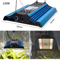 60*60*160cm Tente pour plantes + Conseil Plus Led Full Spectrum Grow Lights 2835 120W + Système de ventilation Kit complet de culture intérieure