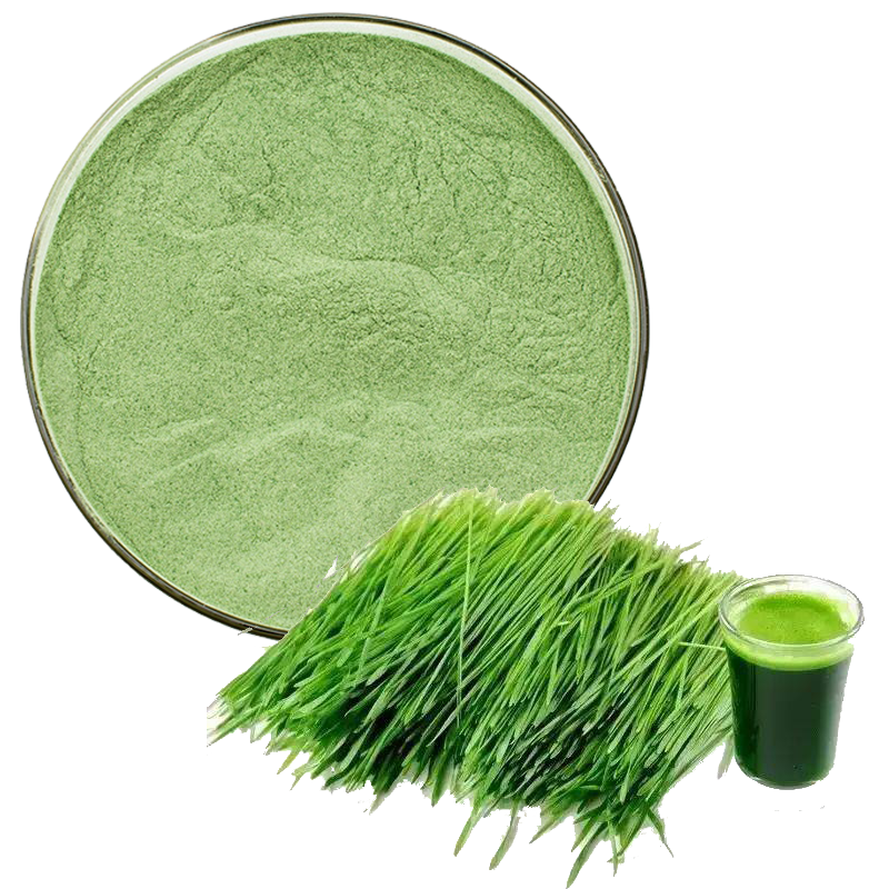 Organic Barley Sprout Powder Pure Barley