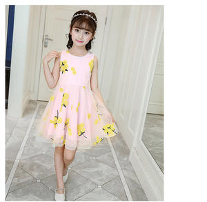 Robe Tutu Style Vintage pour Filles, Robe de Princesse en Dentelle à Fleurs Brodé pour l'Été, Vente en Gros en Ligne - Product Image 4