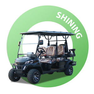 Shininglsv New Model <strong>Custom</strong> Electric Vehicle Utility Off-road Lithium Battery Cool Street Legal <strong>Golf</strong> <strong>Carts</strong> - Product Image 1