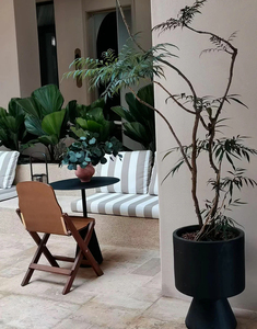 Hiện Đại Tối Giản Sợi Thủy Tinh Chậu Hoa Cho Trong Nhà Ngoài Trời Trang Trí Sân Vườn Phong Cách Bền Trồng Cho Nhà Văn Phòng - Product Image 5