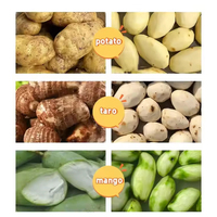 Nouvelle machine à découper les pommes de terre en frites, en acier inoxydable, électrique, 2,2 kW, éplucheur, laveur, coupe-légumes, coupe-fruits, coupe-carottes, coupe-pommes de terre