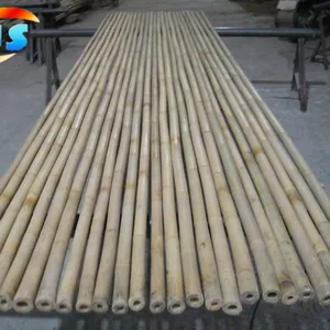 Support tree nurseries growing of bamboo cane 305CM 28-30MM
